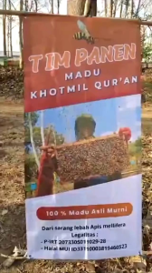 Madu Yanbu: Manfaat & Keaslian