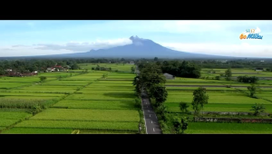 SUSU KAMBING ETAWA SR12 GOMILKU