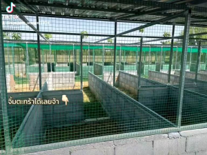 ตาข่ายกรงไก่เคลือบPVC สูง 90cm.xยาว 10m.