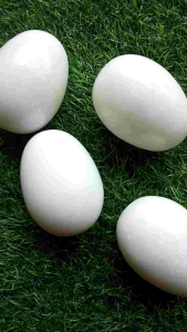 หินแท้สีขาว(ทรงไข่)ขนาดกว้าง5ซม.สูง6ซม.เสริมความอุดมสมบูรณ์มีกินมีใช้