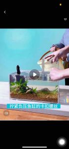 Bể cá úp ngược |Hồ cá bay acrylic hiệu ứng cá bay|Hồ cá úp ngược trang trí áp suất âm box acrylic mica tăng trải nghiệm