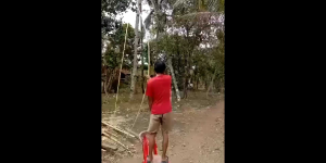 rakitan pita kado suara ngukuk