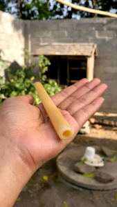 Pipa tulang sapi asli variasi ring Alpakah Rasa Nikmat | Once pipa pipe