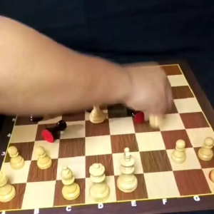 biji catur kayu berkualitas Motif kuda tali dan benteng kotak bata sesuai standar percasi dan FIDE