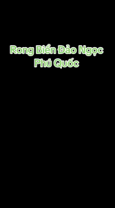 Rong biển sấy ăn liền vị CHÁY TỎI 130gr- Phú Quốc- Rong giòn tỏi thơm