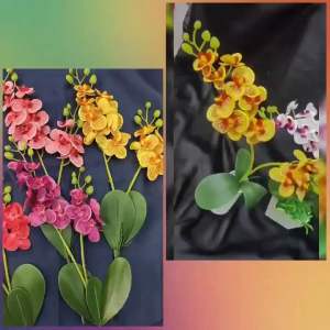 Bunga Anggrek 2 Cabang & Vas: Panduan Lengkap