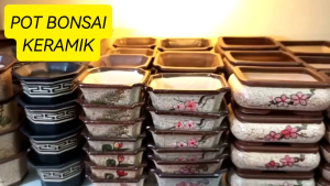 Pot Bonsai Tanaman Hias Keramik Small mini Bulat Lonjong