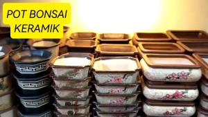 Pot Bonsai Keramik Segi Delapan Motif Unik