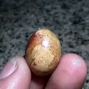 Asli Batu Akik Pancawarna Kembang Jadul 22cm A46