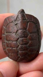 พญาเต่าเรือน หลวงพ่อเงิน เต่าเรือน พ่อเงิน ศึกษา พระเครื่อง