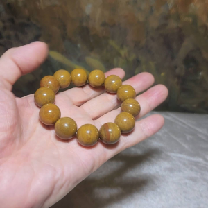 Gegegems Collection 16mm Premium Madagascar Petrified Wood brownish yellow natural pattern bracelet [Natural Crystal]