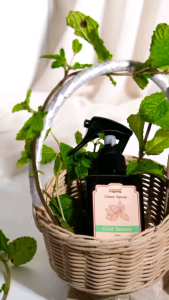 Linen Spray Cool Breeze Aroma Peppermint Pengharum Spray Antibacterial Pure Essential Oil