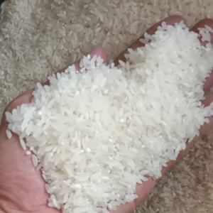 PROMO BERAS ROJOLELE SUPER QUALITY 1 kg PUTIH BERSIH PULEN