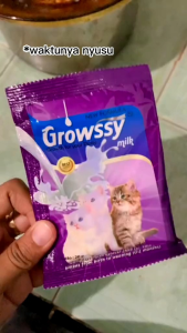 SUSU GROWSSY MILK UNTUK ANAK KUCING SACHET 20 GR