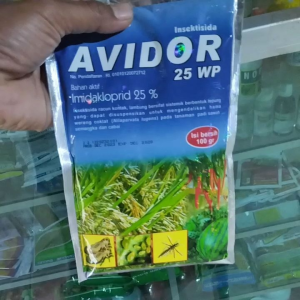 INSEKTISIDA AVIDOR 25WP ISI 100GRAM ORIGINAL
