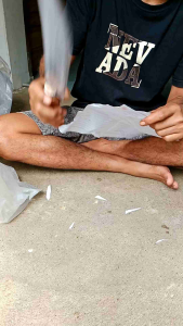 Pisau Sadap Aren: Alat Pengolahan & Pengupasan