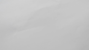 Benih Biji Labu Kabocha & Bibit Labu Jepang Isi (12 Biji)