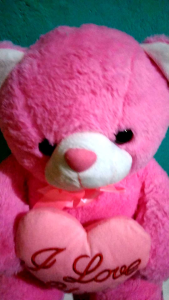 BONEKA BERUANG TEDDY TEDY BEAR LOVE PITA DOLL KARAKTER BEAR