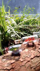 souvenur kapal botol kerajinan tangat set hadiah hiasan