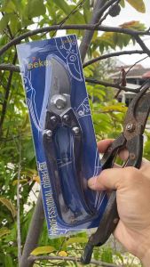 NEKEN Gardening Pruning Shear / Gunting Pokok Bunga / 黑柄花剪 (805)