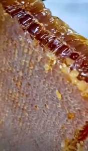 RAW HONEY WITH COMB 100% natural (Halal)Muslim friendly ORGANIC PREMIUM HONEY FROM IRAN. RAW HONEY. 2600g +-100.