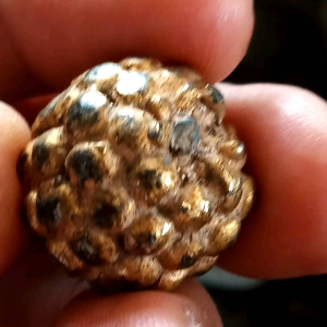 เครื่องรางกลิ้งกลางดง เนื้อโลหะ สุดยอดของคงกระพันแคล้วคลาด ป้องกันภัย หายากสุดๆมีชิ้นเดียวหมดแล้วหมดเลยนะครับ