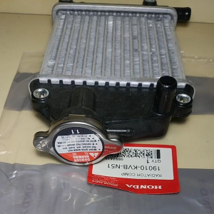 RADIATOR ASSY VARIO 110 LAMA & VARIO KARBU