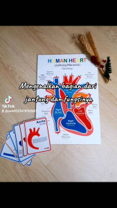 Magnetic Board Puzzle Anggota Tubuh Jantung Manusia