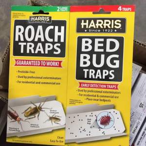 Harris Bed Bug Killer Trap - 4 pack