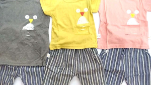 SiPesek Setelan Baju Anak Bayi Cowok / Laki-Laki Burung Import Cute (2 bln - 3 th)