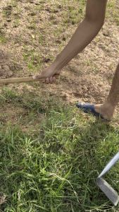 แว๊กดายหญ้ามือขวา มีด้ามไม้และด้ามเหล็ก ใบมีคม ใช้ถางหญ้า ดายหญ้า ได้ดี ใช่งานง่าย