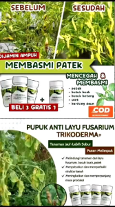 Tricoderma BELI 3 GRATIS 1 250ml Fungisida Pembasmi Jamur Pencegah Layu tanaman Patek Cabai & Busuk