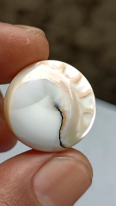 Batu Posil Kerang Yin Yang Kristal