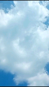 BROPLUS ANTI NGROBOK & LEBIH STABIL Merpati