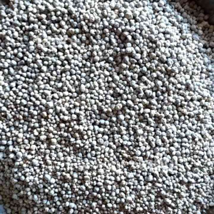 ปุ๋ยตรากระต่าย สูตร 16-20-0 เม็ดสีเทาอ่อน บำรุงต้น ใบ และผล ละลายง่าย พืชนำไปใช้ได้ไว