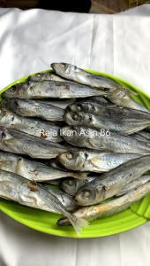 Ikan Asin Layang Rebus Super Enak Dan Segar / Ikan Asin Cue / Ikan Pindang
