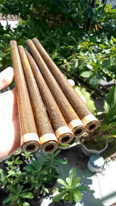 klokotan once pipa kayu kelor Jawa kombinasi kemuning gading 15 cm B87