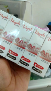 12 biji PAKET USAHA INAI KUKU MUSLIM AISYAH HALAL