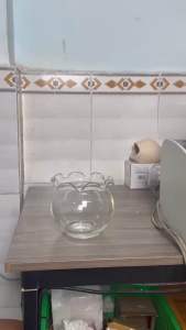 Tặng phụ kiện Chậu thủy tinh tai bèo bể cá mini 15cm