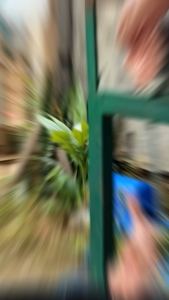 Umpan galatama lele terbaik KOCEK SULTAN umpan angler sejati kemasan 250gr