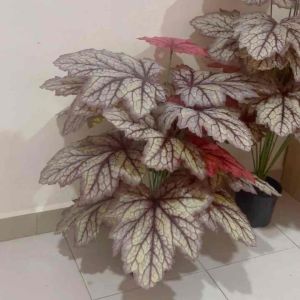 🍁Ready Stock🍁Artificial Maple Leaf/Pokok Maple/Daun Maple/Pokok Hiasan/Home Decor