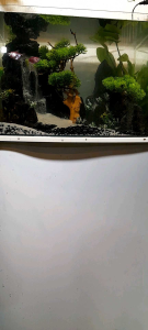 Thác Cát Hồ Thủy Sinh