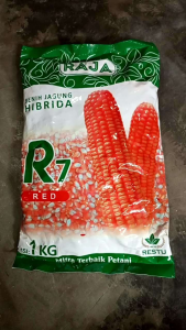 Benih Habisida R7 Red Lokal/polosan Kemasan 1kg Original