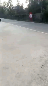 Mainan Anak Outdoor Raja Kera / Kera Raja Harga Grosir Per Dus Isi 20pcs