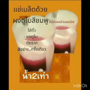 กันลารุกรามในถั่วงอก เคล็ดลับในการทำให้ถั่วงอกสวย