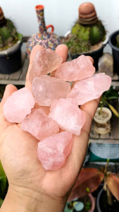 🩷 หินโรสควอตซ์ สีชมพูหวาน เนื้อสวยธรรมชาติ น่ารัก น่าสะสม ขนาด 30-40 กรัมต่อชิ้น  🌟 ราคาต่อชิ้น   ( Rose Quartz )  🌸