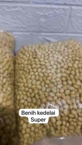 1KG Benih kacang kedelai lokal F1 super siap tanam