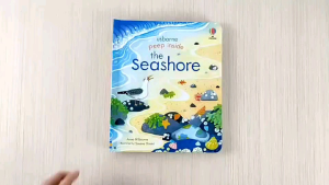 Usborne Peep Inside the Seashore