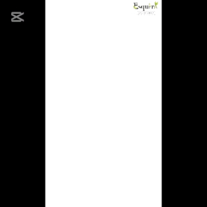 Puding Cup Korea dengan Tutup 220 ML & 280 ML + Sumpit Mini 10pcs