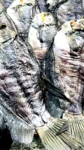 Khô Cá Sặc Rằn( Sặc Bổi) Đặc Sản KHOMITA khô sạch 1kg 4nắng. Đóng gói hút chân không gửi được cả nước ngoài.